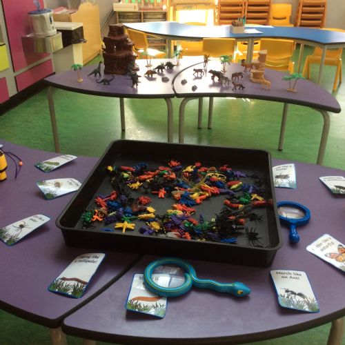 , , Activities1